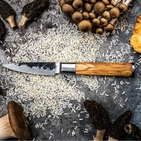Forged Skalkniv Couteau utilitaire 22cm 531124