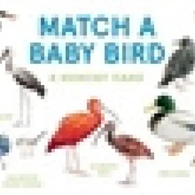 RSPB Match A Baby Bird Memory Game