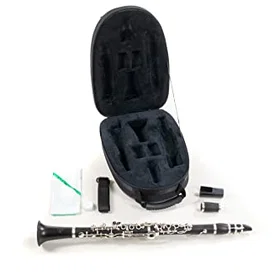 Roy Benson CG-200B Bb Clarinet for Children