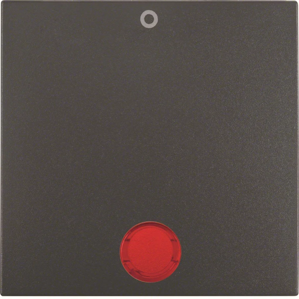 Hager Vippe Switch 16241606
