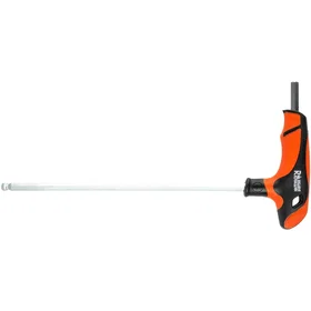 Richmann C6684 Insexnyckel
