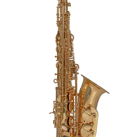 Roy Benson AS302 Alto Sax
