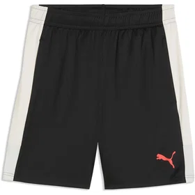 Puma Individualliga Training Shorts (Herr)