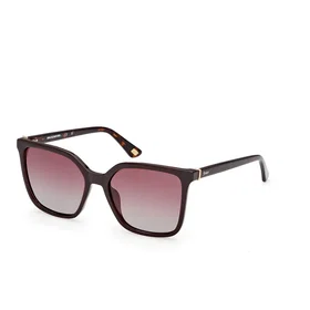 Skechers SE00168 Polarized