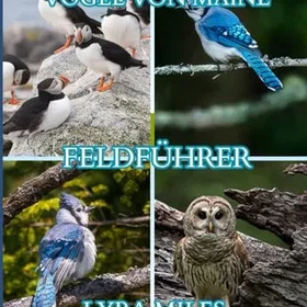Vogel Feldführer