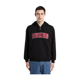 Dickies Aitkin ZT Hoodie (Herr)