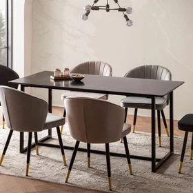 Finebuy Table à manger 160cm
