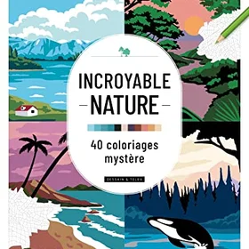 Dessain et Tolra Incroyable Nature 40 Coloriages Mystère
