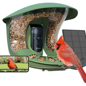 Birdfy Bird Feeder with Solar Panel