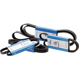 Dayco 8PK1955HD PolyV Ceinture