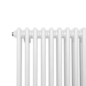 MonsterShop Traditional 2 Column Radiator 300x832mm