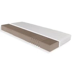 Sleepneo Matelas à Couches Froides 100x200cm