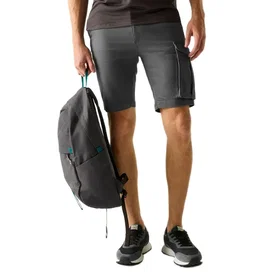 Regatta Bendrick Shorts (Herr)