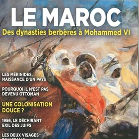 L'Histoire Les Collections n°110