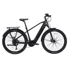 Momas Jason Pro+ SUV (Electric)