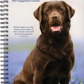 Wlcp What Labs Teach Us Engagement Calendar 2027 6.5 X 8.5