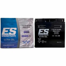 Energysafe Es51913 Gel Battery