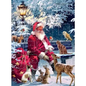 Temu Traditional Christmas Advent Calendar Santa & Animals No Chocolate