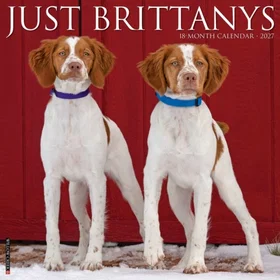 Brittanys Dog Calendar 2027