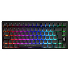 Blackstorm Assassin RGB Gaming