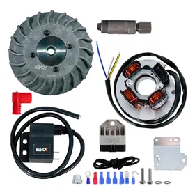 Evoke Iron Spark Vespa 50 Special-50 L/n/r-pk50-125/125 Primavera-125 Et3 Stator
