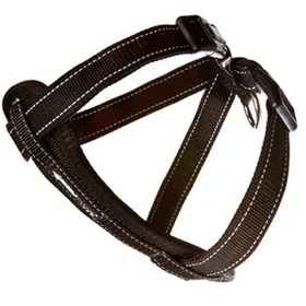 Ezydog Neopren Sele M 10x19Kg