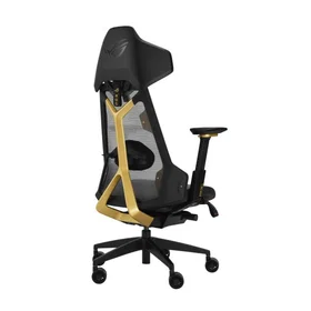 Asus ROG Destrier Edition