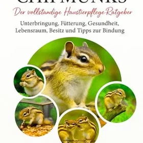 SIBERISCHE CHIPMUNKS