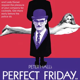 Perfect Friday (DVD)