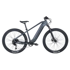 Claud Butler Wrath 1.0 (Electric)