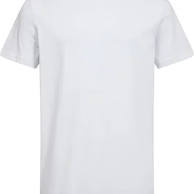 Claudio Bomull T-skjorte 5-pack (Herre)