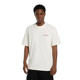 Dickies Fairlawn T-shirt (Herr)