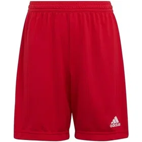 Adidas Entrada 22 Shorts (Jr)