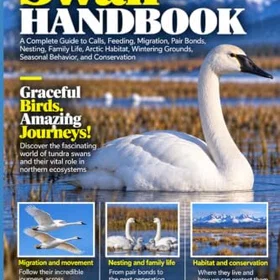 Tundra Handbok