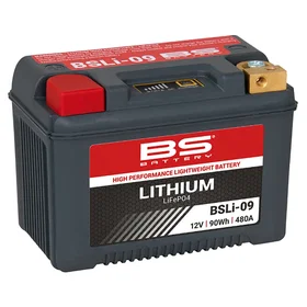 BS Battery LiFePO4 90Wh 12V 480A