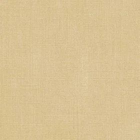 Intrade Beige 27563