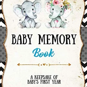 Amy Newton Gave Sett Baby Memory Book (Baby)