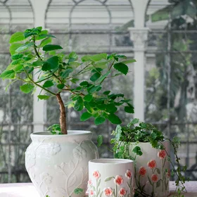 Wikholm Form Eliza Vase 190x170mm