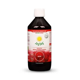Joy Day Probiotic Drink 500ml
