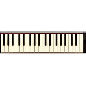 Suzuki PRO-37 V3