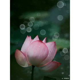 TTArtisan 100/2.8 Bubble Bokeh for M42