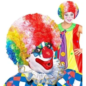 Widmann 6022M Clown Costume Wig