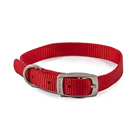 Ancol Viva Collier Taille 2 26-31cm