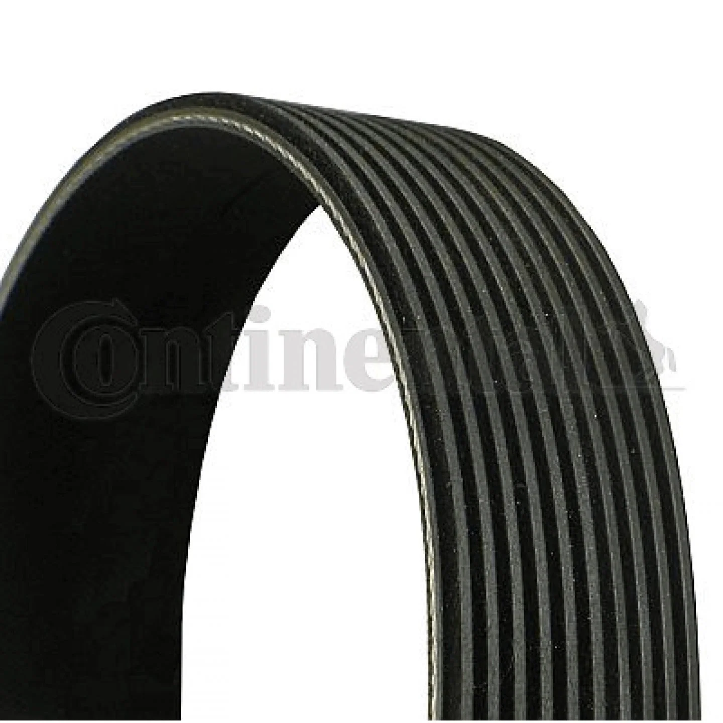 CONTITECH 10PK1725 Belt