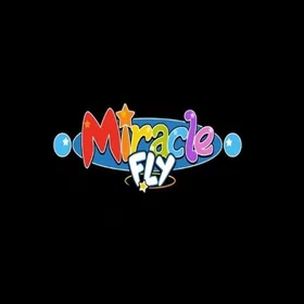 Miracle Fly (PC)
