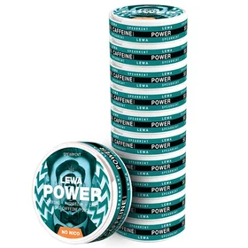 LEWA Of Sweden Spearmint Nikotinfritt Snus 30-pack