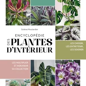 Ulmer Encyclopédie des plantes d'intérieur