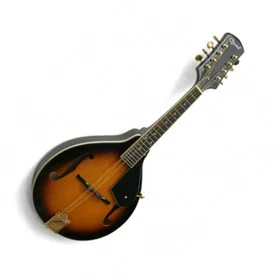 Ozark 2073 Mandolin