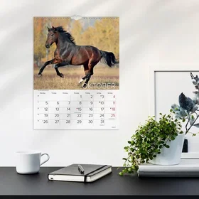 Mayland Heste Kalender 2026