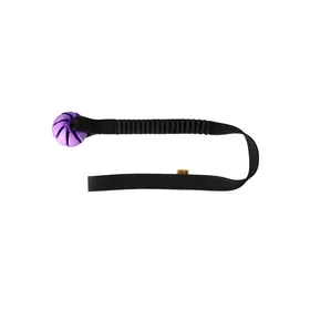 Dingoo Dingo Bungee Tug med Ball 4-Pack